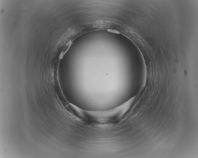 X0000071960696200607071453