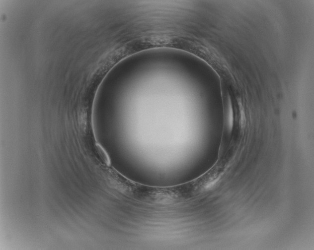 X0000071960697200607071453