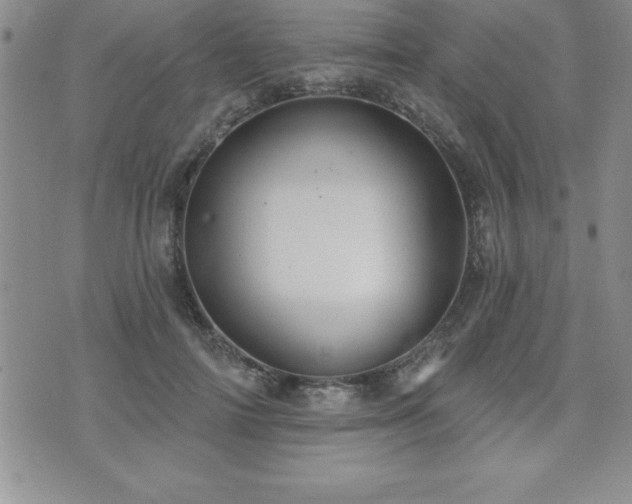 X0000071960698200607071453