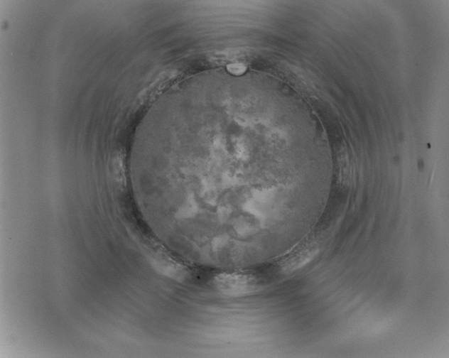 X0000071960699200607071453