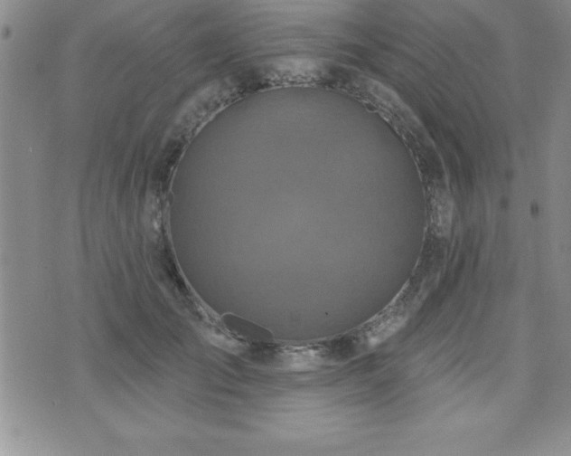 X0000071960701200607071453