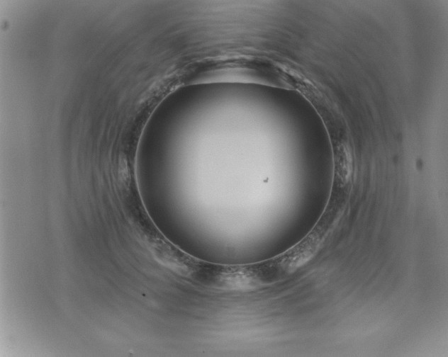 X0000071960704200607071453