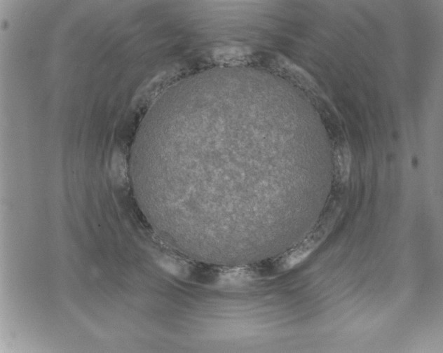 X0000071960705200607071453