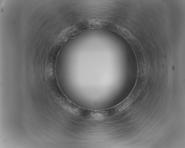 X0000071960706200607071453