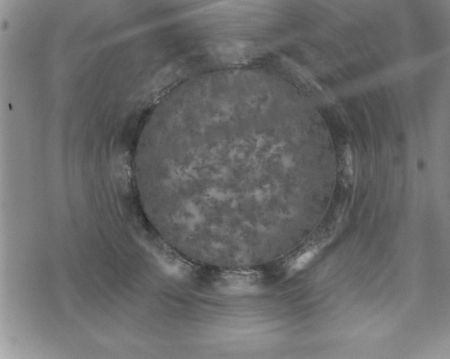 X0000071960707200607071453