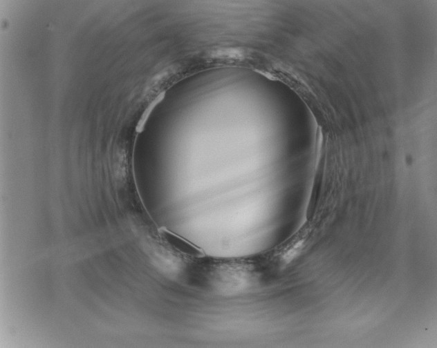 X0000071960708200607071453