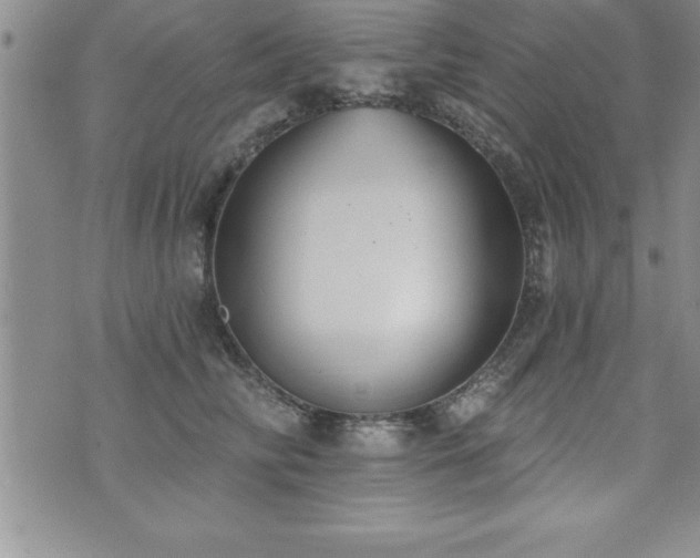 X0000071960710200607071453