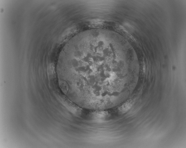 X0000071960711200607071453