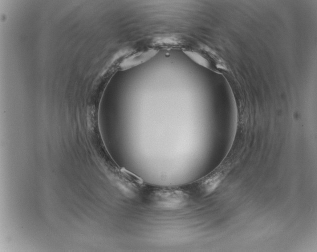 X0000071960712200607071453