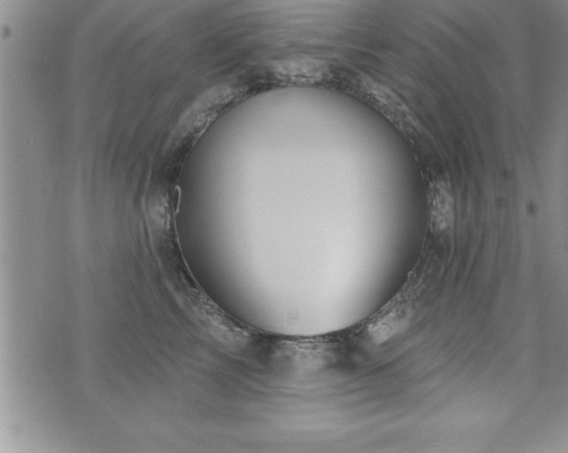 X0000071960713200607071453