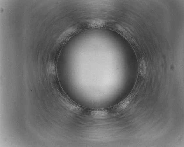 X0000071960714200607071453