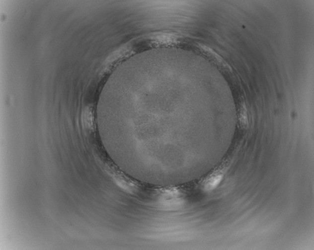 X0000071960715200607071452