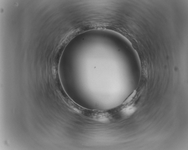 X0000071960716200607071452