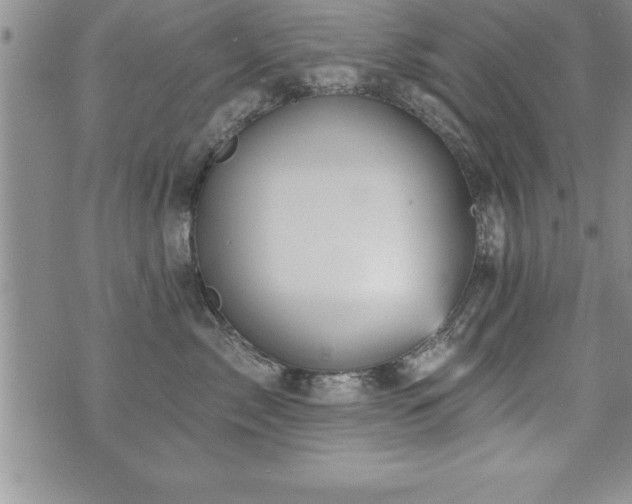 X0000071960717200607071452