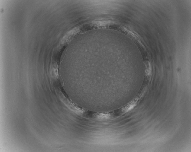 X0000071960718200607071452