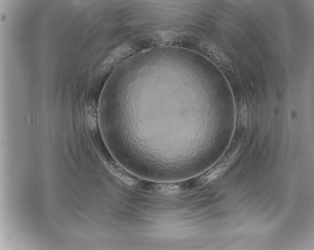 X0000071960719200607071452