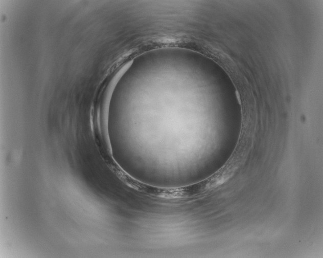 X0000071960720200607071452