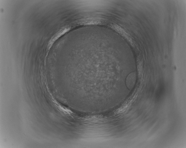 X0000071960721200607071452