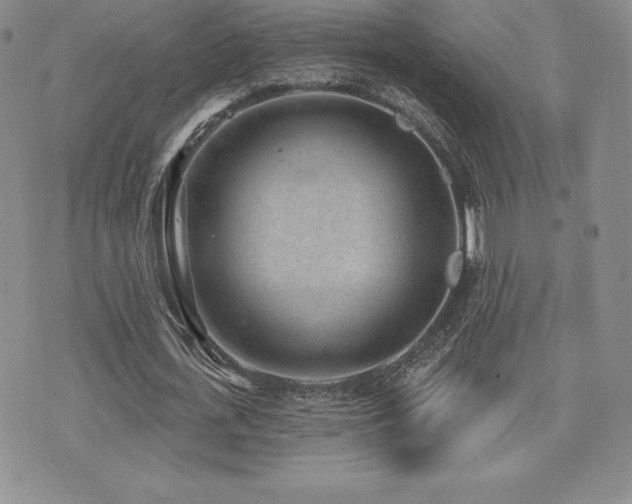 X0000071960723200607071452