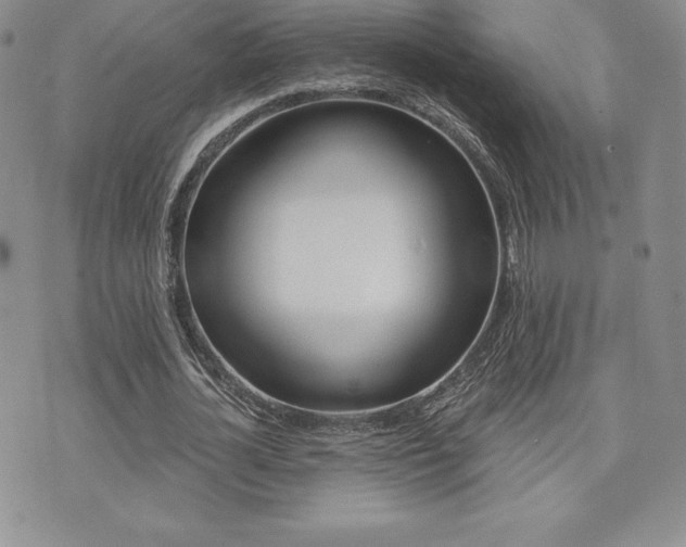 X0000071960724200607071452