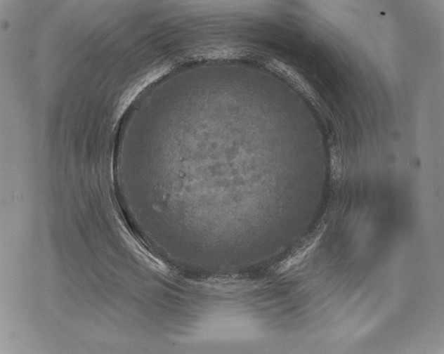 X0000071960725200607071452