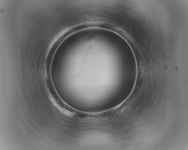 X0000071960726200607071452