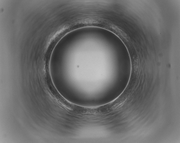 X0000071960727200607071452