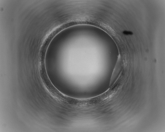 X0000071960728200607071452