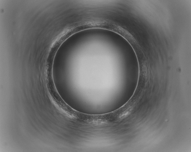 X0000071960730200607071452