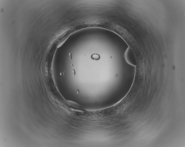 X0000071960731200607071452