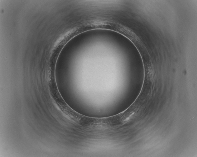 X0000071960732200607071452