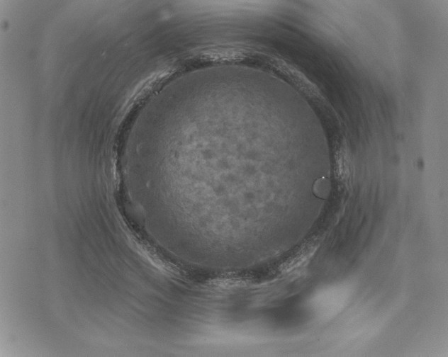 X0000071960733200607071452