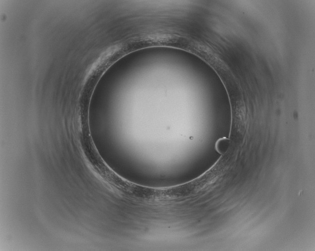 X0000071960734200607071452