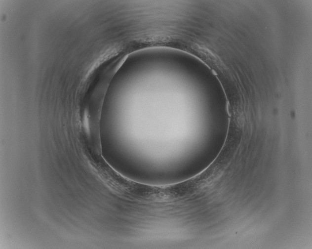 X0000071960735200607071452