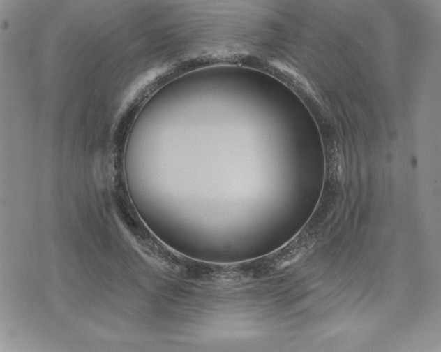 X0000071960736200607071452