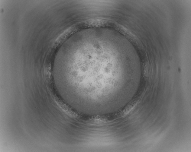 X0000071960737200607071452