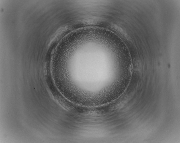 X0000071960738200607071452