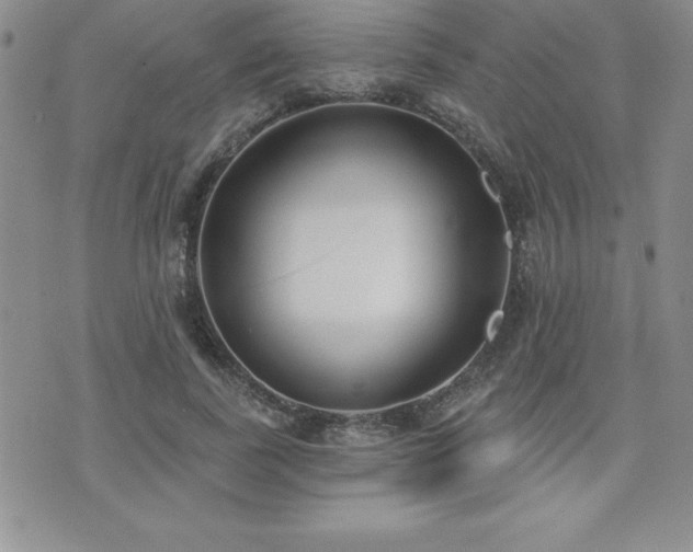 X0000071960739200607071452