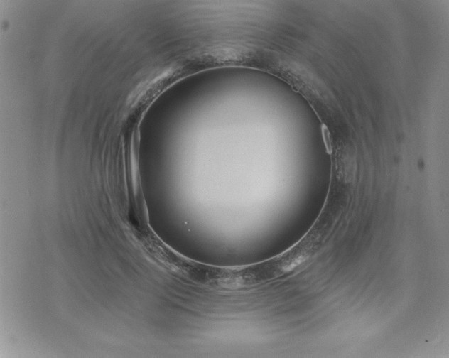 X0000071960740200607071452