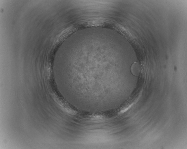 X0000071960741200607071452