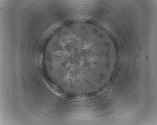 X0000071960742200607071452