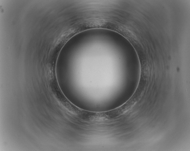 X0000071960743200607071452