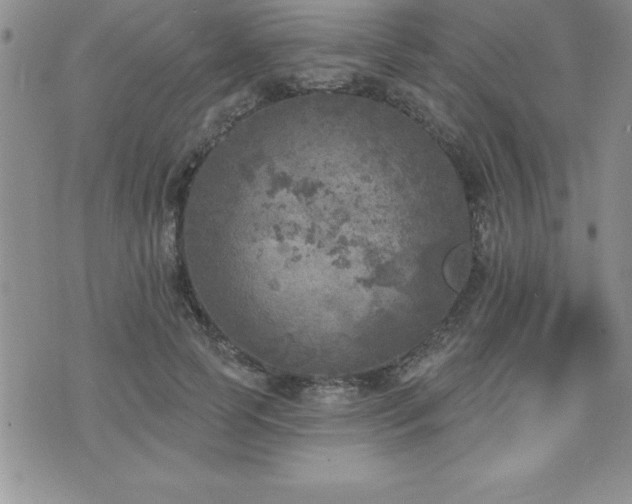 X0000071960745200607071452