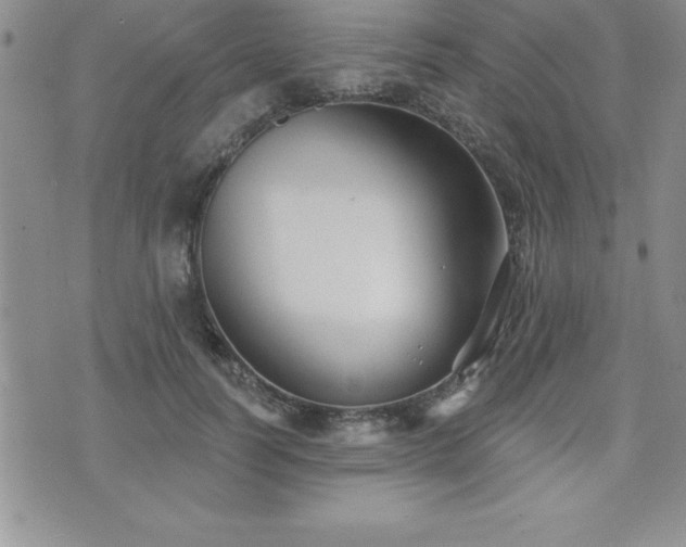 X0000071960746200607071452