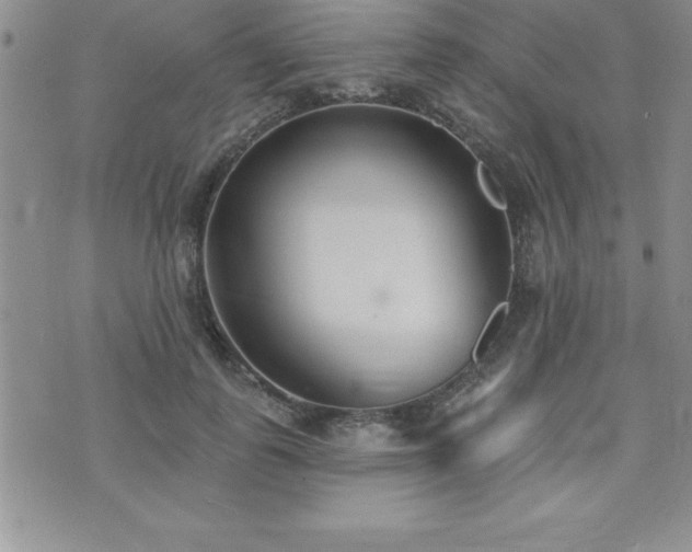 X0000071960747200607071452