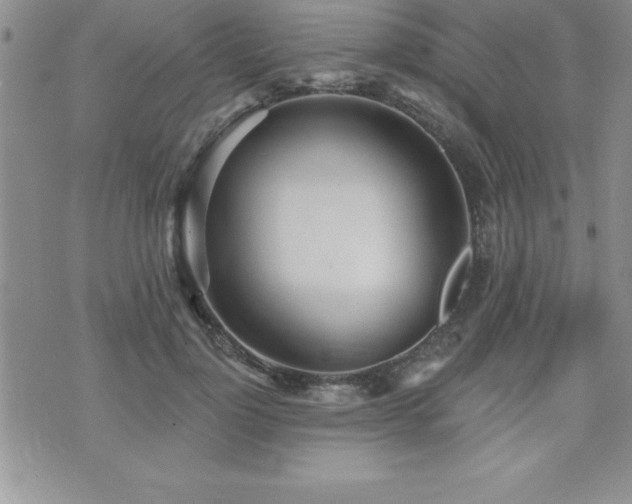 X0000071960748200607071452