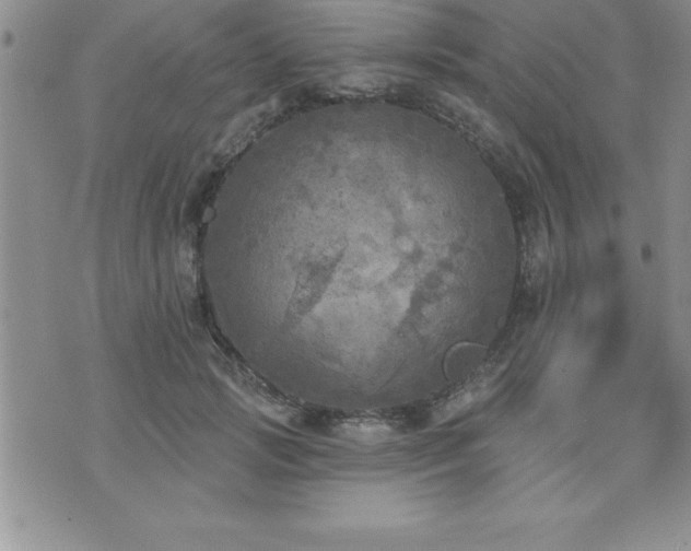 X0000071960749200607071452