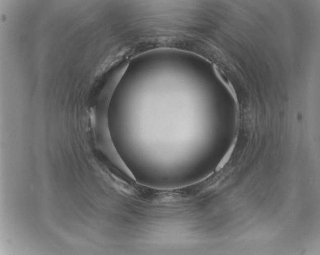 X0000071960750200607071452