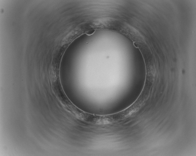 X0000071960751200607071452