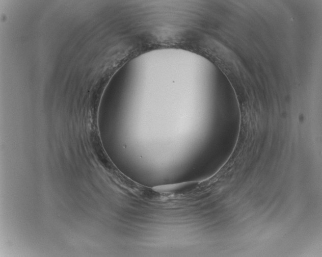 X0000071960752200607071452